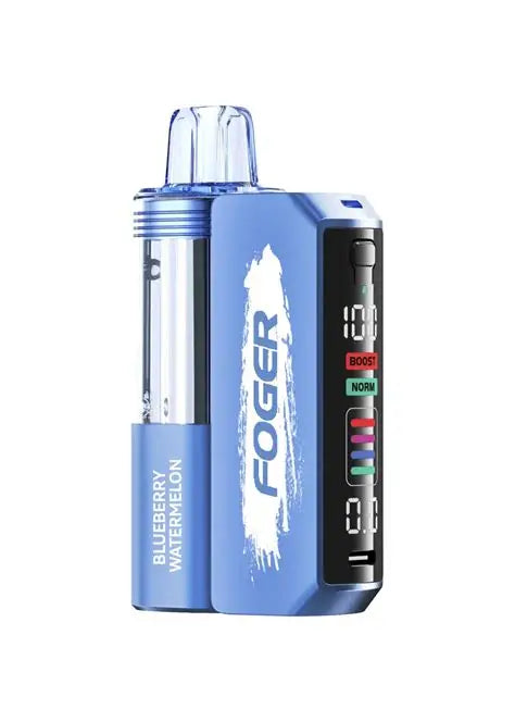 Foger Switch Pro 30K Disposable Kit - Blueberry Watermelon